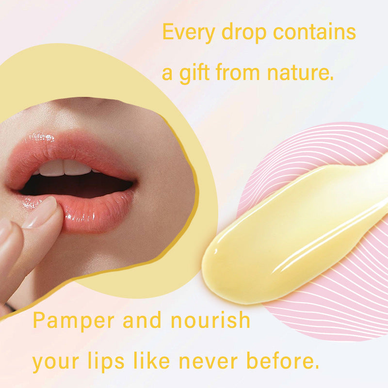 Lip Care Female Honey Moisturizing Lip Gloss